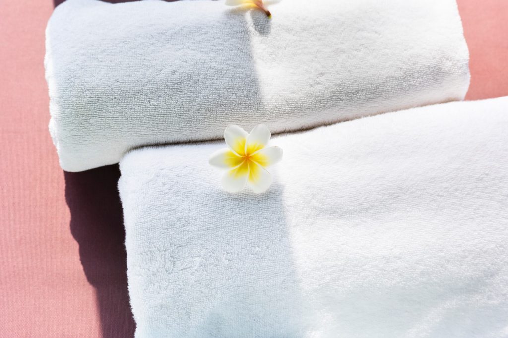Disposable Non-Woven Towels